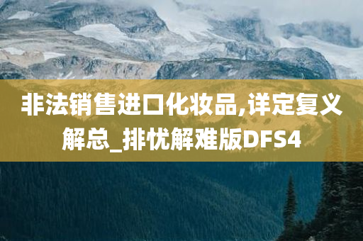 非法销售进口化妆品,详定复义解总_排忧解难版DFS4