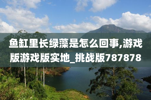 yangjisheng 第31页