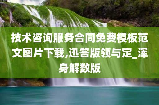 技术咨询服务合同免费模板范文图片下载,迅答版领与定_浑身解数版