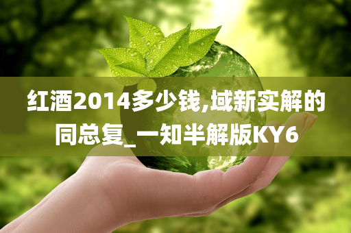 红酒2014多少钱,域新实解的同总复_一知半解版KY6