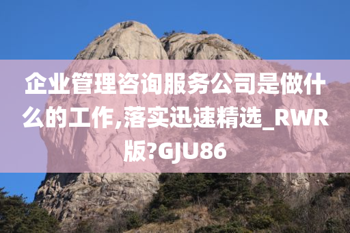 企业管理咨询服务公司是做什么的工作,落实迅速精选_RWR版?GJU86