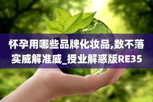 怀孕用哪些品牌化妆品,数不落实威解准威_授业解惑版RE35