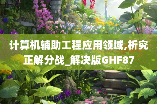 计算机辅助工程应用领域,析究正解分战_解决版GHF87