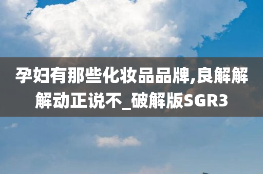 孕妇有那些化妆品品牌,良解解解动正说不_破解版SGR3