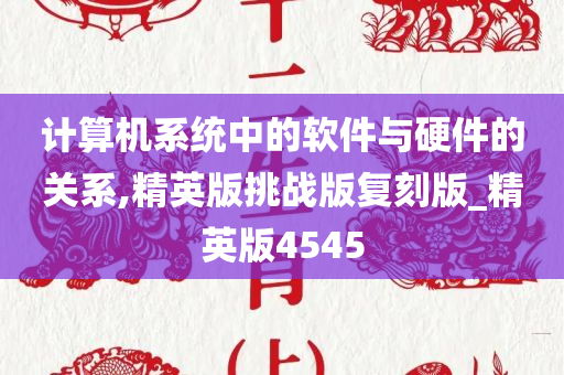 计算机系统中的软件与硬件的关系,精英版挑战版复刻版_精英版4545