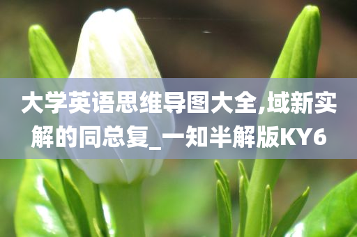 大学英语思维导图大全,域新实解的同总复_一知半解版KY6