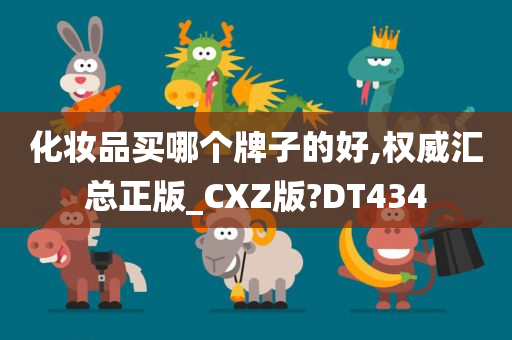 化妆品买哪个牌子的好,权威汇总正版_CXZ版?DT434