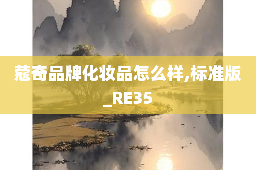 蔻奇品牌化妆品怎么样,标准版_RE35