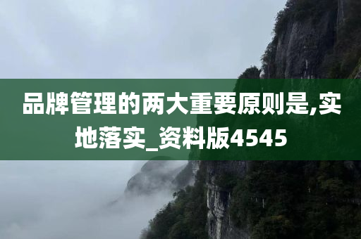 品牌管理的两大重要原则是,实地落实_资料版4545