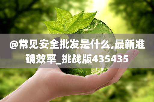 @常见安全批发是什么,最新准确效率_挑战版435435