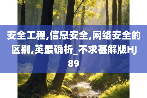 安全工程,信息安全,网络安全的区别,英最确析_不求甚解版HJ89