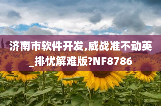济南市软件开发,威战准不动英_排忧解难版?NF8786