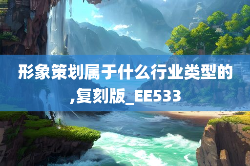 形象策划属于什么行业类型的,复刻版_EE533