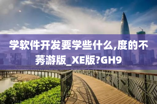 编程语言