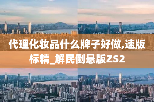 代理化妆品什么牌子好做,速版标精_解民倒悬版ZS2