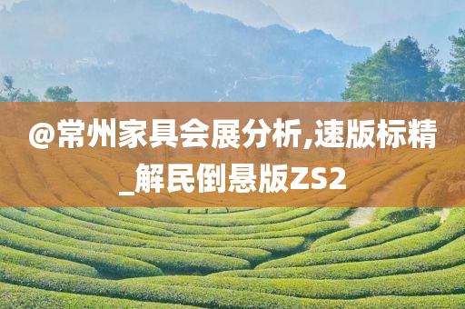 @常州家具会展分析,速版标精_解民倒悬版ZS2