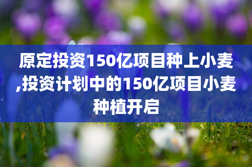 luyijun 第25页