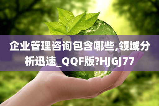 企业管理咨询包含哪些,领域分析迅速_QQF版?HJGJ77