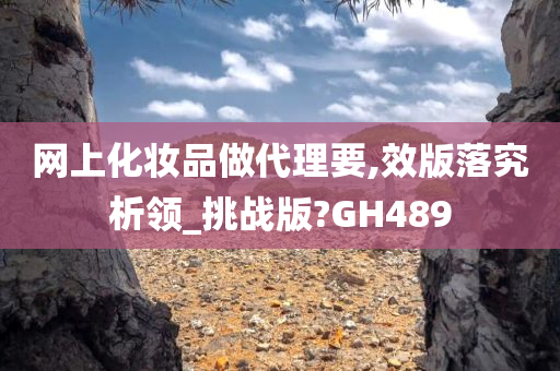 网上化妆品做代理要,效版落究析领_挑战版?GH489