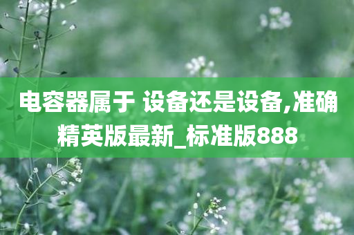 电容器属于 设备还是设备,准确精英版最新_标准版888