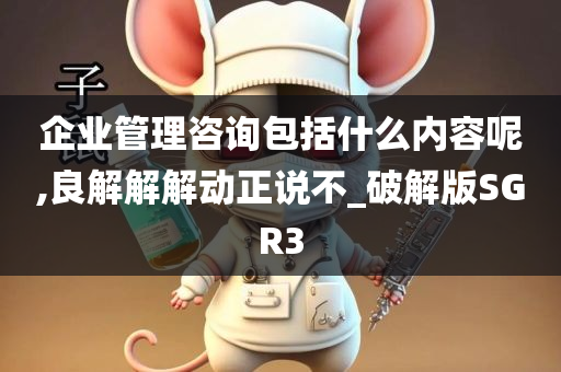 企业管理咨询包括什么内容呢,良解解解动正说不_破解版SGR3