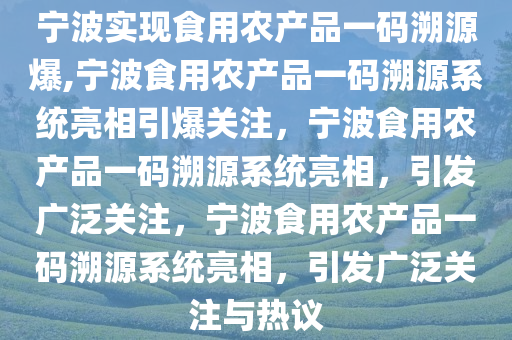 宁波实现食用农产品一码溯源爆,宁波食用农产品一码溯源系统亮相引爆关注，宁波食用农产品一码溯源系统亮相，引发广泛关注，宁波食用农产品一码溯源系统亮相，引发广泛关注与热议