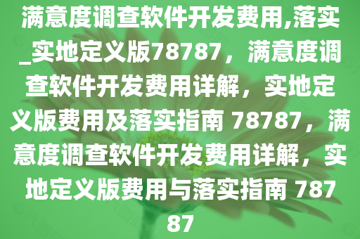 满意度调查软件开发费用,落实_实地定义版78787，满意度调查软件开发费用详解，实地定义版费用及落实指南 78787，满意度调查软件开发费用详解，实地定义版费用与落实指南 78787