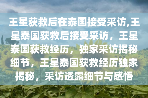 王星获救后在泰国接受采访,王星泰国获救后接受采访，王星泰国获救经历，独家采访揭秘细节，王星泰国获救经历独家揭秘，采访透露细节与感悟