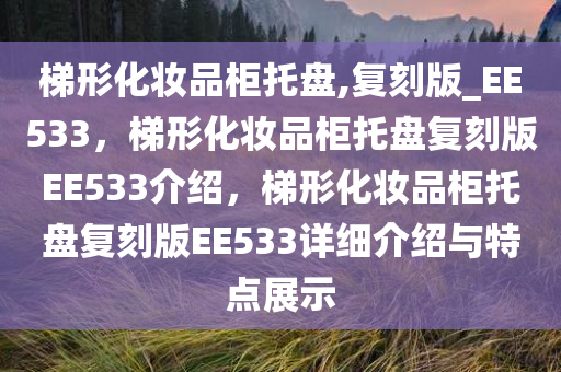 梯形化妆品柜托盘,复刻版_EE533，梯形化妆品柜托盘复刻版EE533介绍，梯形化妆品柜托盘复刻版EE533详细介绍与特点展示