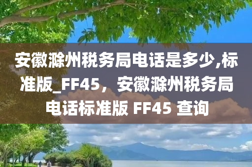 安徽滁州税务局电话是多少,标准版_FF45，安徽滁州税务局电话标准版 FF45 查询