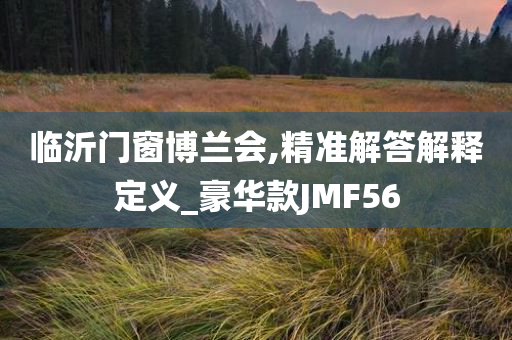 临沂门窗博兰会,精准解答解释定义_豪华款JMF56