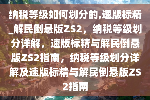 纳税等级如何划分的,速版标精_解民倒悬版ZS2，纳税等级划分详解，速版标精与解民倒悬版ZS2指南，纳税等级划分详解及速版标精与解民倒悬版ZS2指南