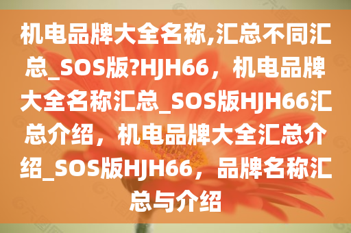 机电品牌大全名称,汇总不同汇总_SOS版?HJH66，机电品牌大全名称汇总_SOS版HJH66汇总介绍，机电品牌大全汇总介绍_SOS版HJH66，品牌名称汇总与介绍
