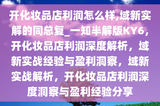 开化妆品店利润怎么样,域新实解的同总复_一知半解版KY6，开化妆品店利润深度解析，域新实战经验与盈利洞察，域新实战解析，开化妆品店利润深度洞察与盈利经验分享