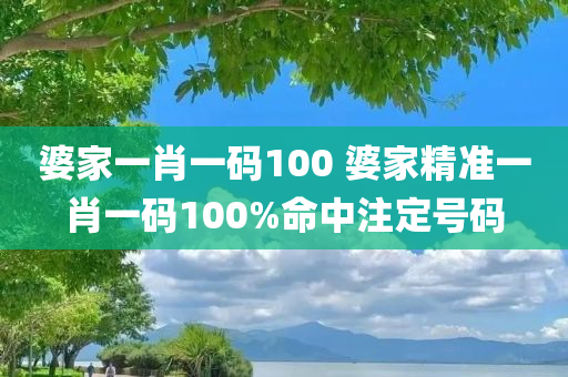 婆家一肖一码100 婆家精准一肖一码100%命中注定号码