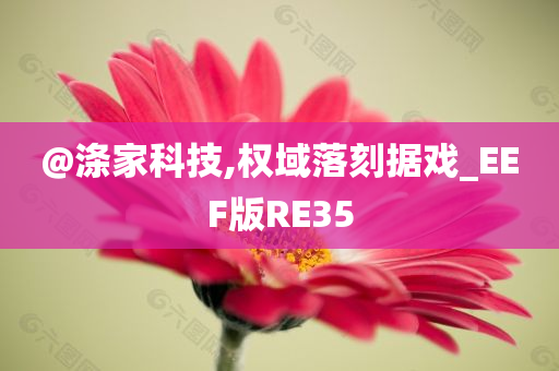 @涤家科技,权域落刻据戏_EEF版RE35