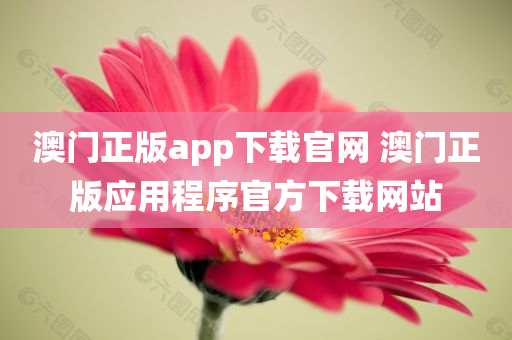 澳门正版app下载官网 澳门正版应用程序官方下载网站