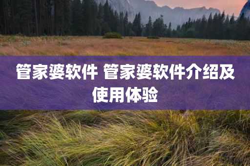 管家婆软件 管家婆软件介绍及使用体验