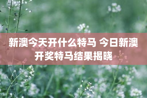 新澳今天开什么特马 今日新澳开奖特马结果揭晓