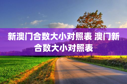 新澳门合数大小对照表 澳门新合数大小对照表