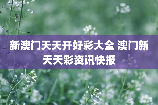 新澳门天天开好彩大全 澳门新天天彩资讯快报