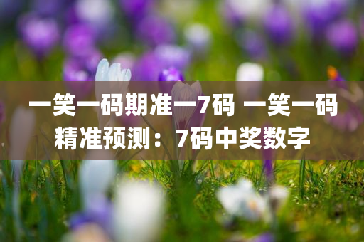 一笑一码期准一7码 一笑一码精准预测：7码中奖数字
