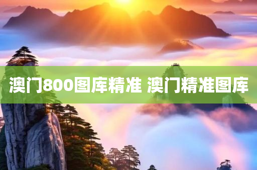 澳门800图库精准 澳门精准图库