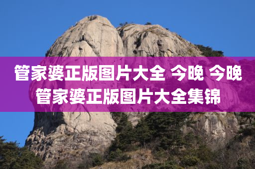 管家婆正版图片大全 今晚 今晚管家婆正版图片大全集锦