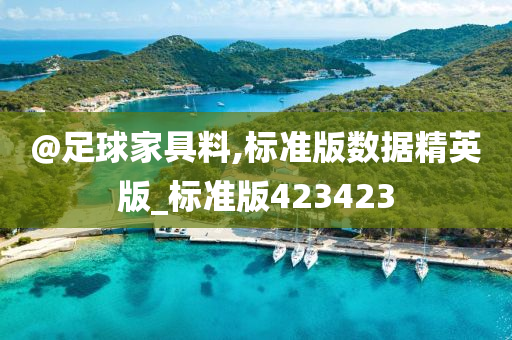 @足球家具料,标准版数据精英版_标准版423423