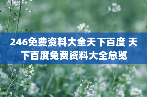 246免费资料大全天下百度 天下百度免费资料大全总览