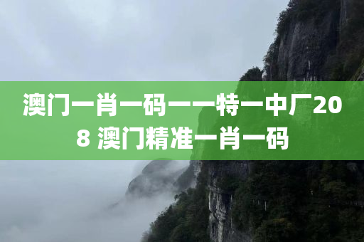 澳门一肖一码一一特一中厂208 澳门精准一肖一码