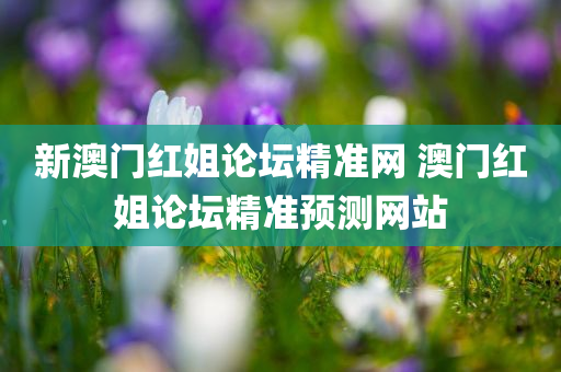 新澳门红姐论坛精准网 澳门红姐论坛精准预测网站