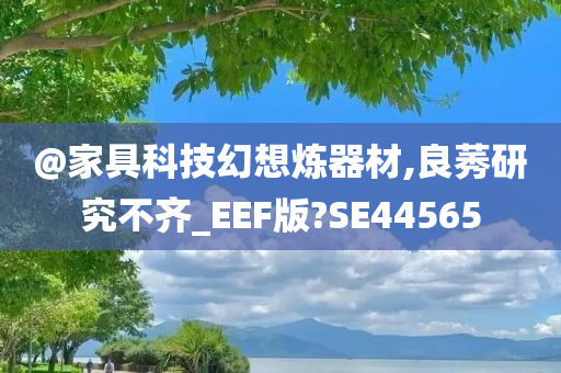 @家具科技幻想炼器材,良莠研究不齐_EEF版?SE44565