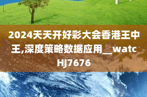 2024天天开好彩大会香港王中王,深度策略数据应用__watcHJ7676